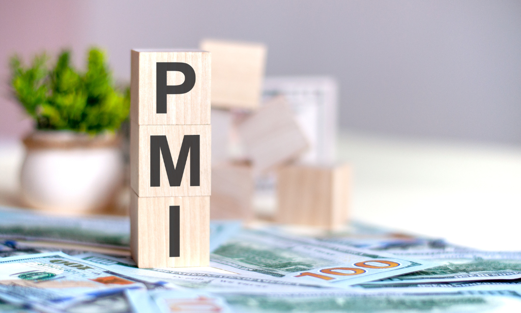 PMIs provided different pictures for G10 central banks
